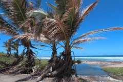 barbados1111