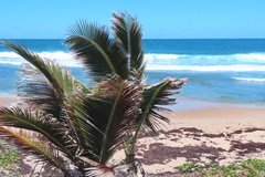barbados1113