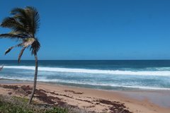 barbados1115