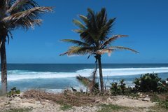 barbados1116