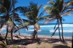 barbados1122