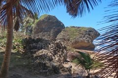 barbados1130