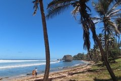 barbados1132