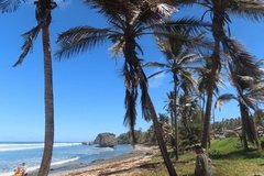 barbados1133