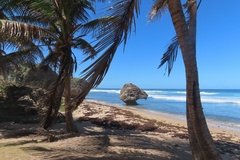 barbados1135
