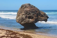 barbados1136