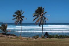 barbados1138