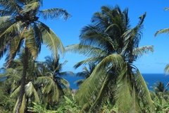 barbados1142