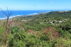 barbados1158