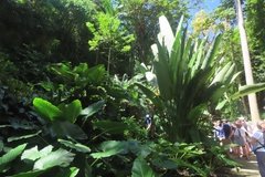 barbados1219