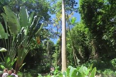barbados1221