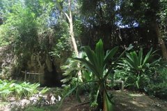 barbados1224