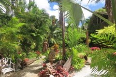 barbados1225