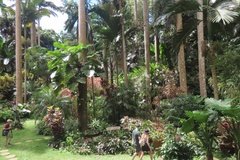 barbados1236
