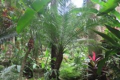 barbados1238