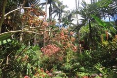barbados1241