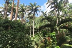 barbados1245