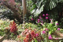 barbados1247