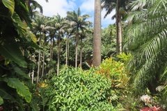 barbados1248