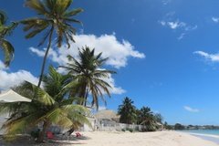 barbados1260