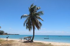 barbados1264