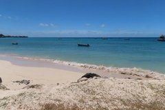 barbados1267