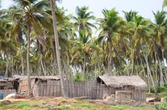 benin1529 benin1529