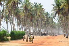 benin1530 benin1530