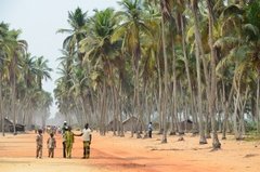 benin1531 benin1531