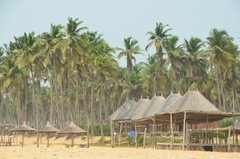 benin1533 benin1533