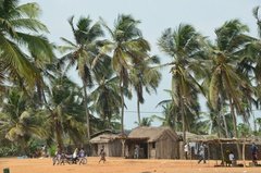 benin1535 benin1535
