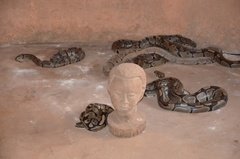 benin1544 benin1544