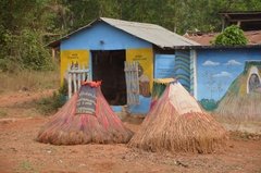 benin2006