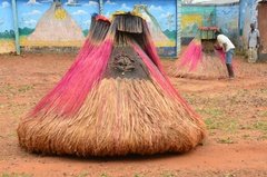 benin2020 benin2020