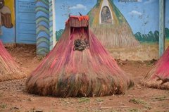 benin2029 benin2029