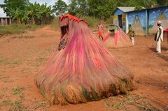 benin2033 benin2033
