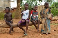 benin2037 benin2037