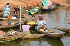 benin2253 benin2253