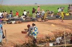 benin2255 benin2255