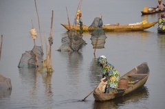 benin2264 benin2264