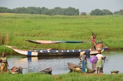 benin2273 benin2273