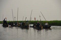 benin2277 benin2277