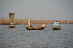 benin2279 benin2279