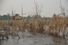 benin2281 benin2281