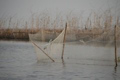 benin2285 benin2285