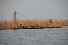 benin2290 benin2290