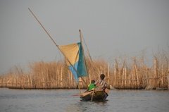 benin2292 benin2292