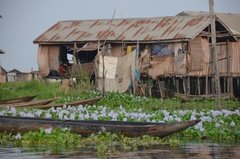 benin2355 benin2355