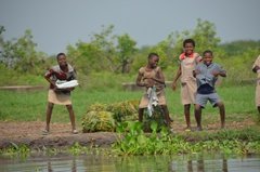 benin2517 benin2517