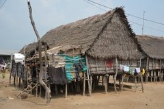 benin2523 benin2523